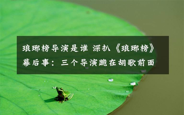 琅琊榜导演是谁 深扒《琅琊榜》幕后事：三个导演跪在胡歌前面