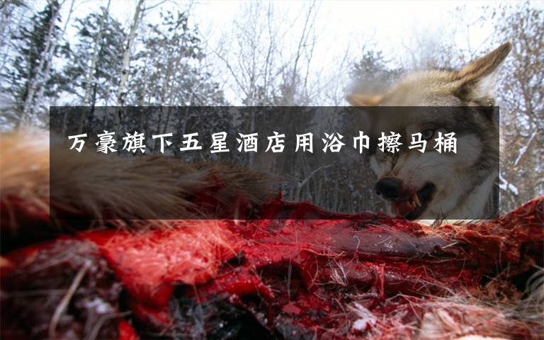 万豪旗下五星酒店用浴巾擦马桶