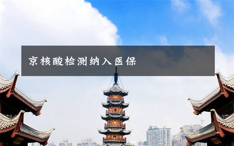 京核酸检测纳入医保