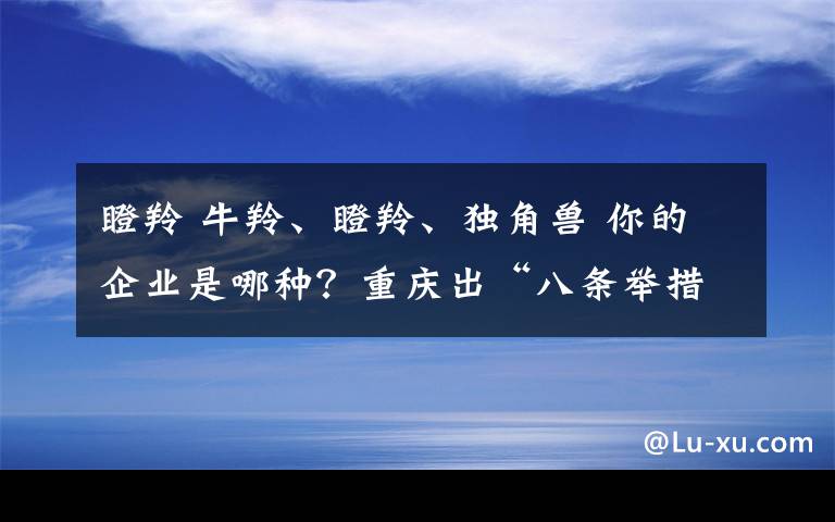 瞪羚 牛羚、瞪羚、独角兽 你的企业是哪种？重庆出“八条举措”来培植