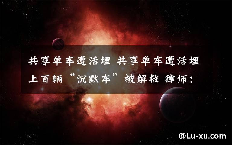 共享单车遭活埋 共享单车遭活埋上百辆“沉默车”被解救 律师：涉嫌刑事犯罪