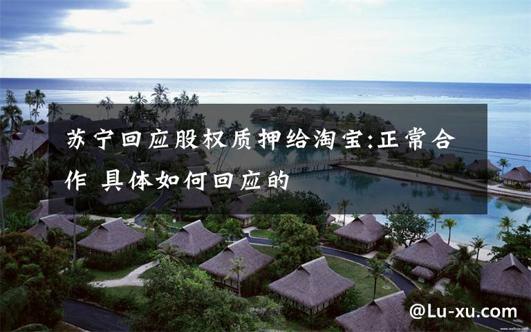 苏宁回应股权质押给淘宝:正常合作 具体如何回应的