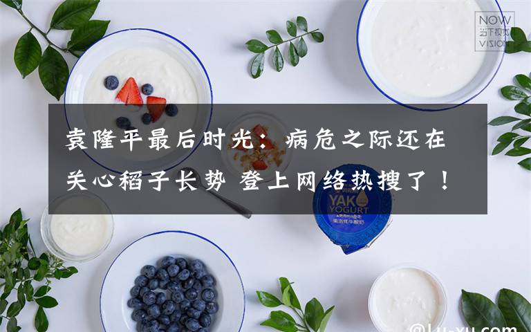袁隆平最后时光：病危之际还在关心稻子长势 登上网络热搜了！