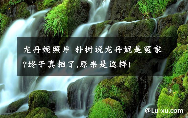 龙丹妮照片 朴树说龙丹妮是冤家?终于真相了,原来是这样!