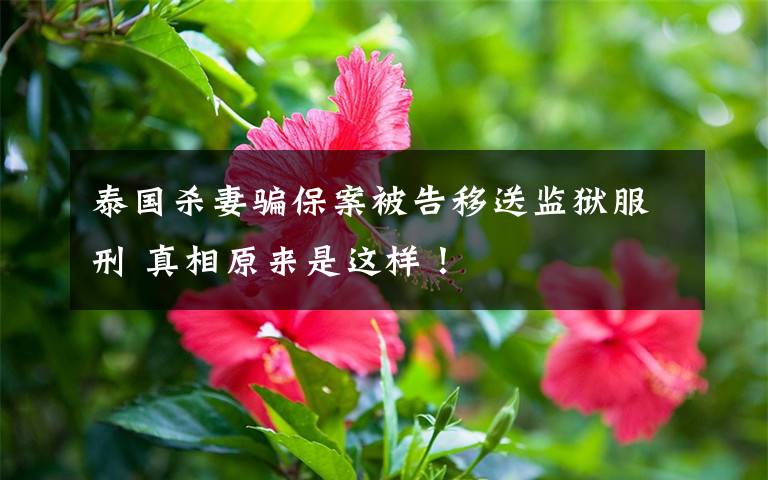 泰国杀妻骗保案被告移送监狱服刑 真相原来是这样！