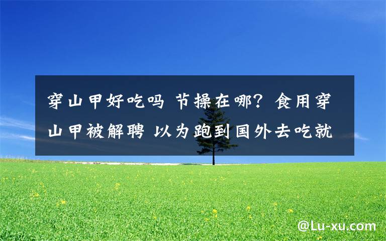 穿山甲好吃吗 节操在哪？食用穿山甲被解聘 以为跑到国外去吃就不会被追究？