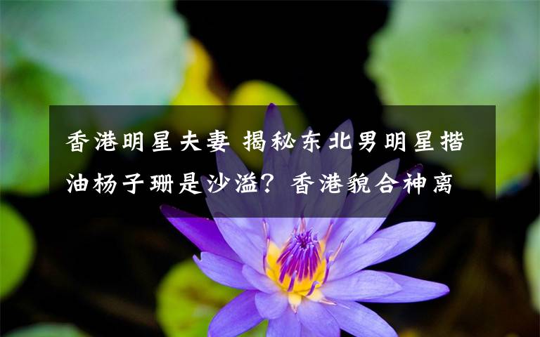 香港明星夫妻 揭秘东北男明星揩油杨子珊是沙溢？香港貌合神离的夫妻是谁？