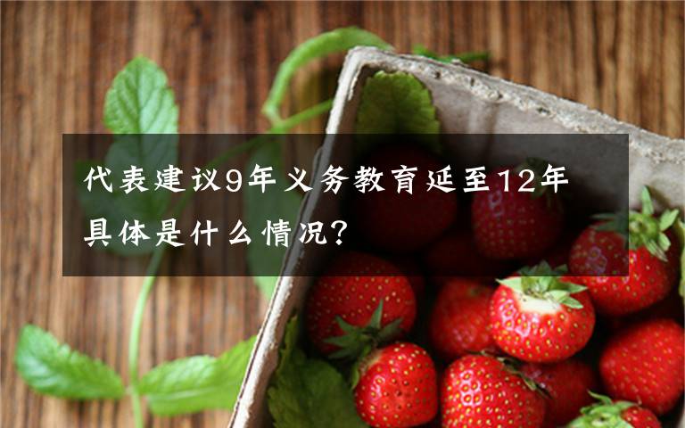代表建议9年义务教育延至12年 具体是什么情况？