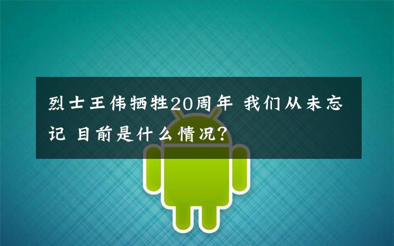 烈士王伟牺牲20周年 我们从未忘记 目前是什么情况？