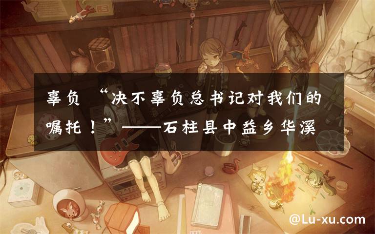 辜负 “决不辜负总书记对我们的嘱托！”——石柱县中益乡华溪村见闻