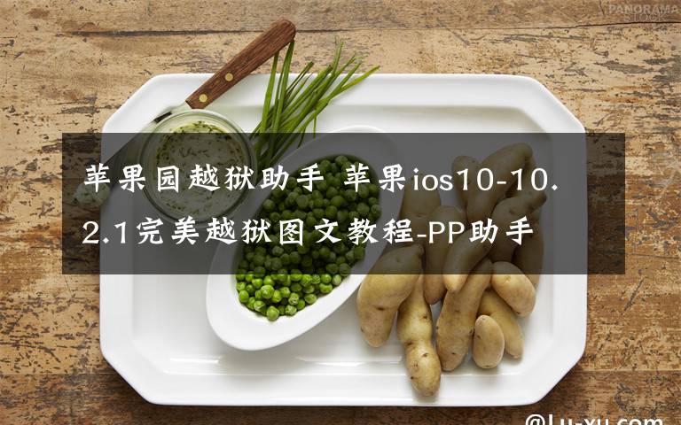 苹果园越狱助手 苹果ios10-10.2.1完美越狱图文教程-PP助手