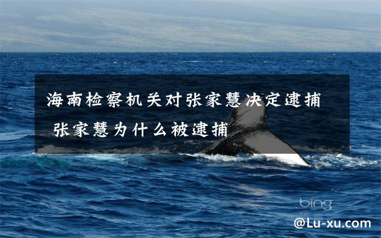 海南检察机关对张家慧决定逮捕 张家慧为什么被逮捕