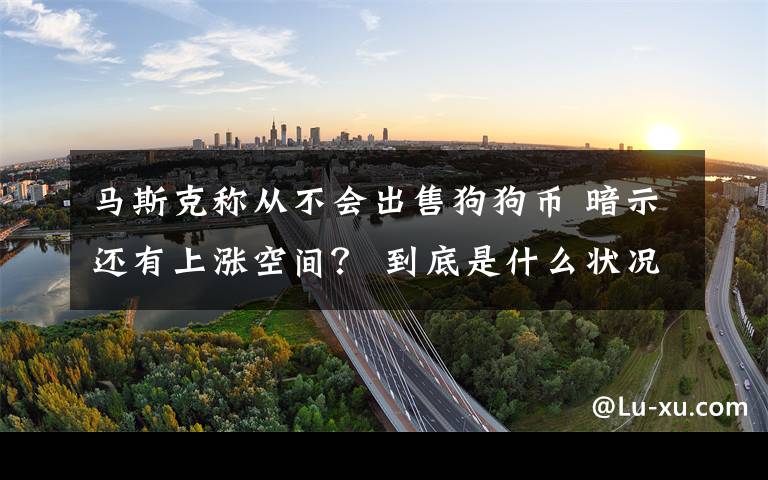 马斯克称从不会出售狗狗币 暗示还有上涨空间？ 到底是什么状况？