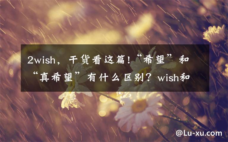 2wish，干货看这篇!“希望”和“真希望”有什么区别？wish和hope有不同，这个必须背