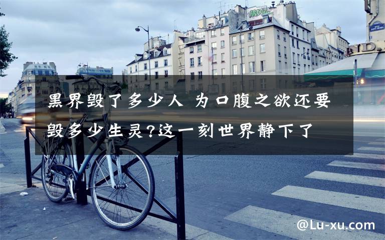 黑界毁了多少人 为口腹之欲还要毁多少生灵?这一刻世界静下了 人类的贪婪太可怕