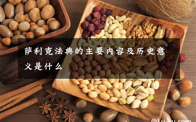 萨利克法典的主要内容及历史意义是什么