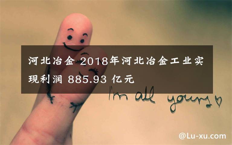 河北冶金 2018年河北冶金工业实现利润 885.93 亿元
