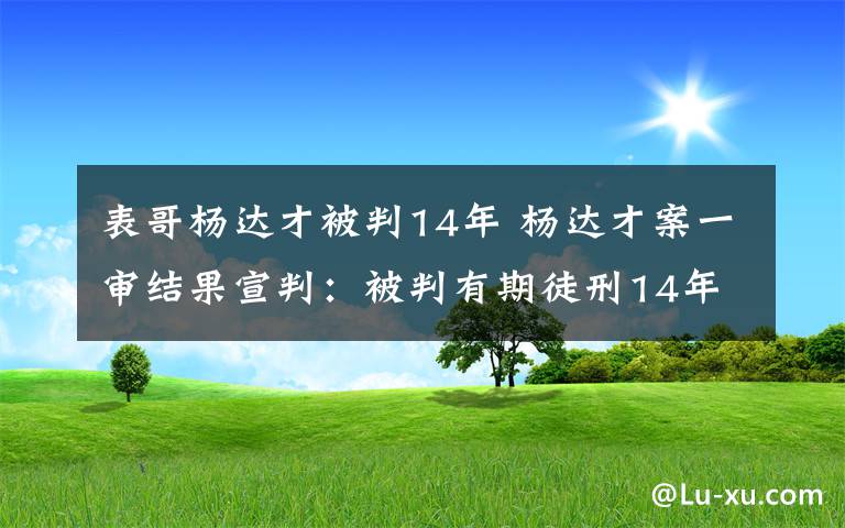 表哥杨达才被判14年 杨达才案一审结果宣判：被判有期徒刑14年