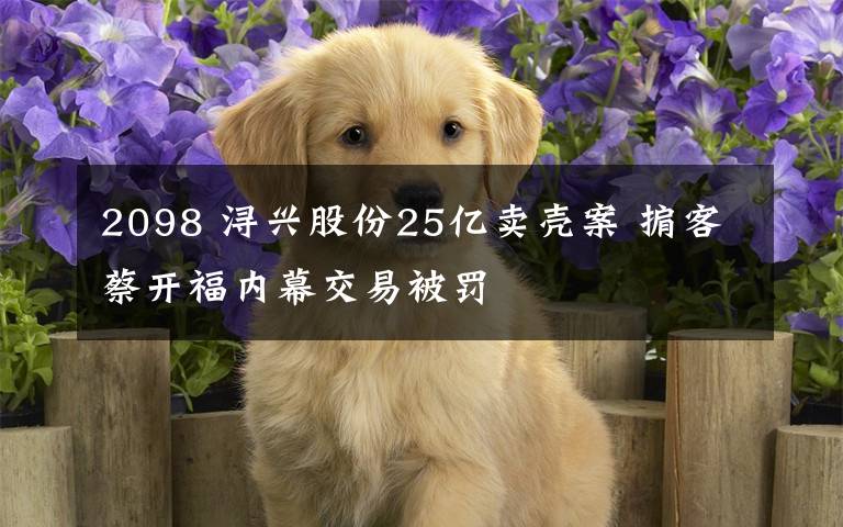 2098 浔兴股份25亿卖壳案 掮客蔡开福内幕交易被罚