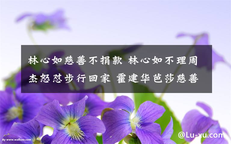林心如慈善不捐款 林心如不理周杰怒怼步行回家 霍建华芭莎慈善夜之前有捐款？