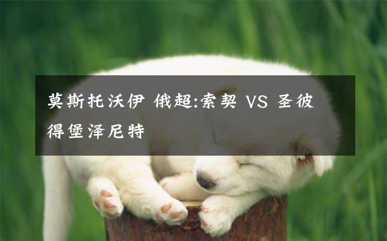 莫斯托沃伊 俄超:索契 VS 圣彼得堡泽尼特
