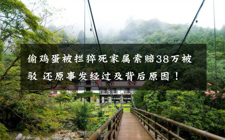 偷鸡蛋被拦猝死家属索赔38万被驳 还原事发经过及背后原因！
