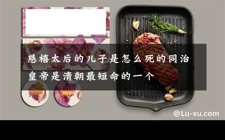 慈禧太后的儿子是怎么死的同治皇帝是清朝最短命的一个