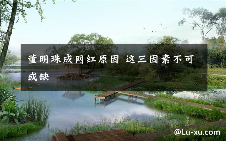 董明珠成网红原因 这三因素不可或缺