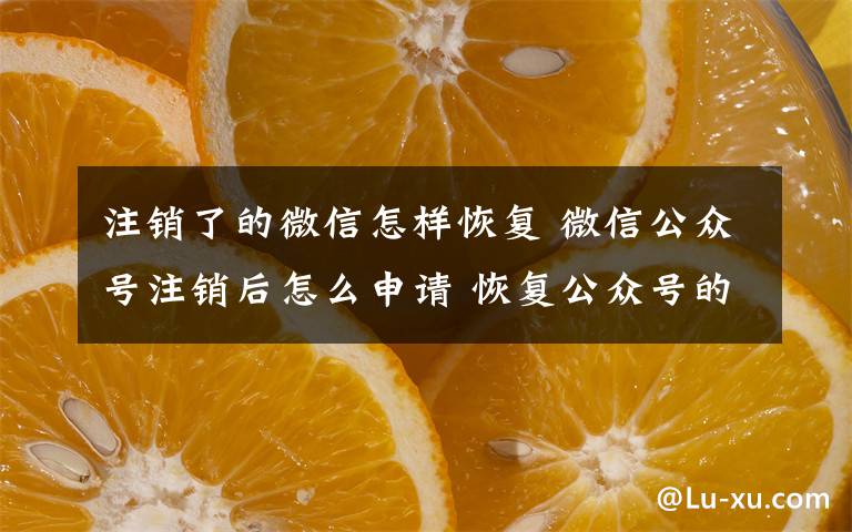 注销了的微信怎样恢复 微信公众号注销后怎么申请 恢复公众号的方法步骤