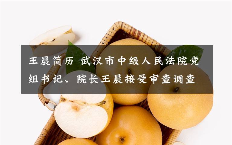 王晨简历 武汉市中级人民法院党组书记、院长王晨接受审查调查