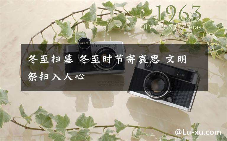 冬至扫墓 冬至时节寄哀思 文明祭扫入人心