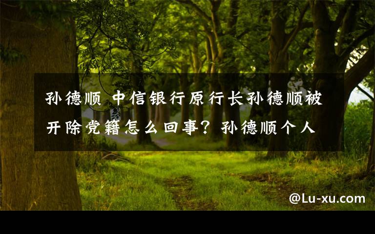 孙德顺 中信银行原行长孙德顺被开除党籍怎么回事？孙德顺个人简历做了什么