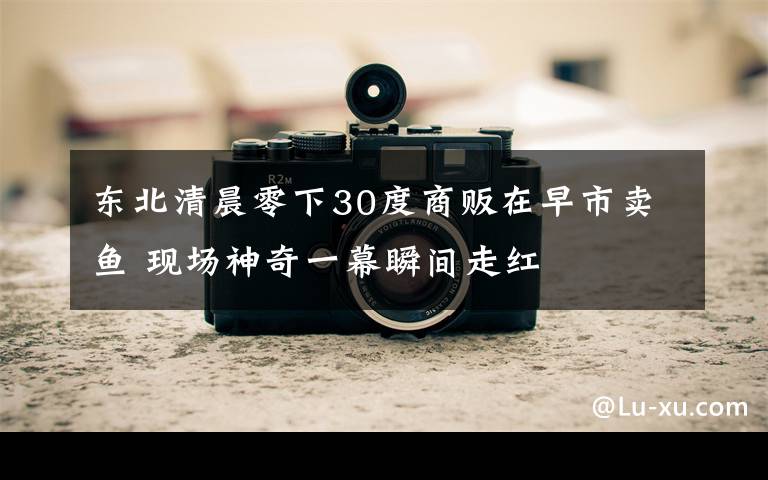 东北清晨零下30度商贩在早市卖鱼 现场神奇一幕瞬间走红