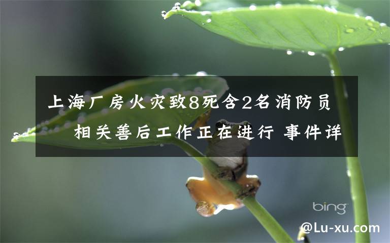 上海厂房火灾致8死含2名消防员  相关善后工作正在进行 事件详情始末介绍！