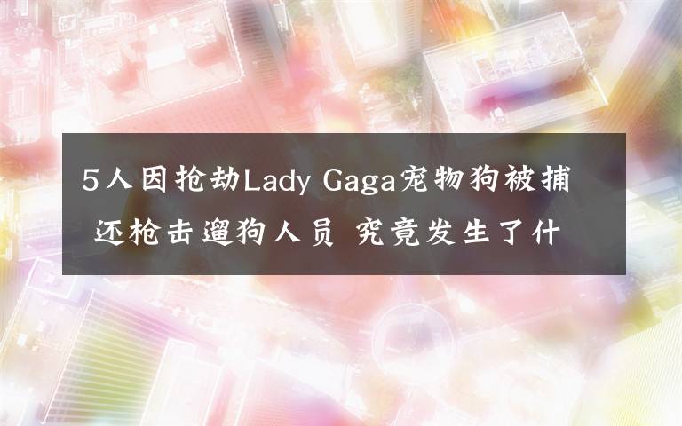 5人因抢劫Lady Gaga宠物狗被捕 还枪击遛狗人员 究竟发生了什么?