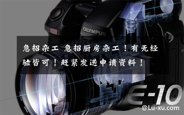 急招杂工 急招厨房杂工！有无经验皆可！赶紧发送申请资料！