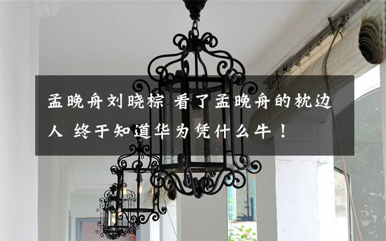 孟晚舟刘晓棕 看了孟晚舟的枕边人 终于知道华为凭什么牛！