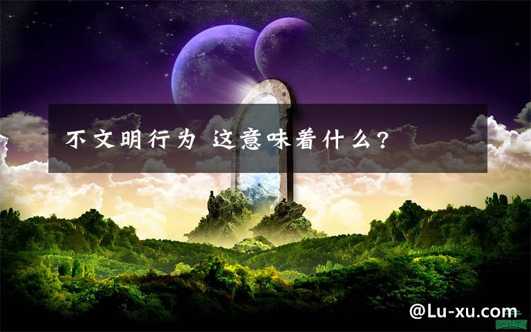 不文明行为 这意味着什么?