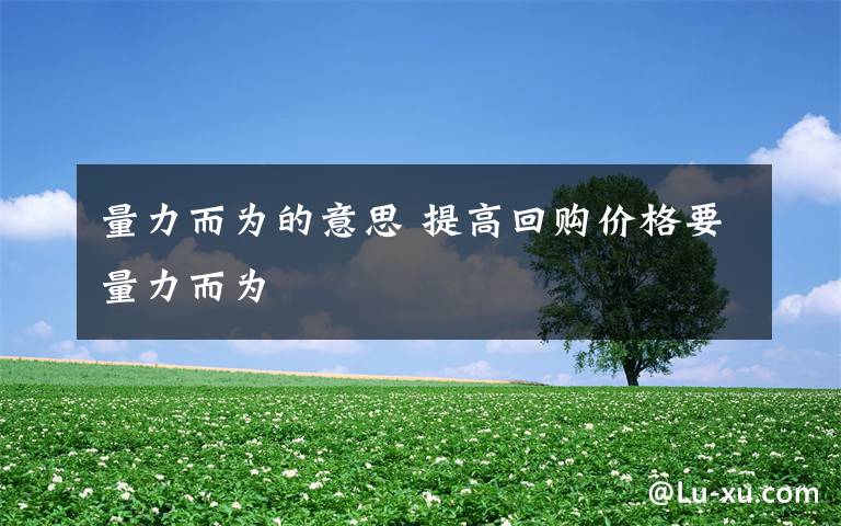量力而为的意思 提高回购价格要量力而为