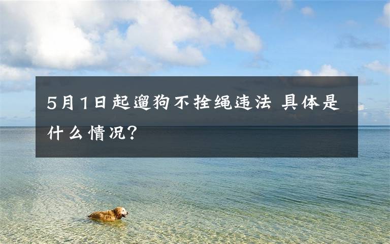 5月1日起遛狗不拴绳违法 具体是什么情况？