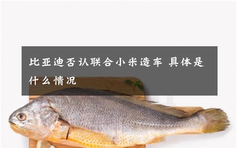 比亚迪否认联合小米造车 具体是什么情况