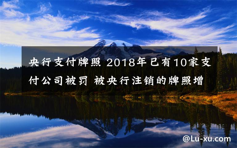 央行支付牌照 2018年已有10家支付公司被罚 被央行注销的牌照增至28张