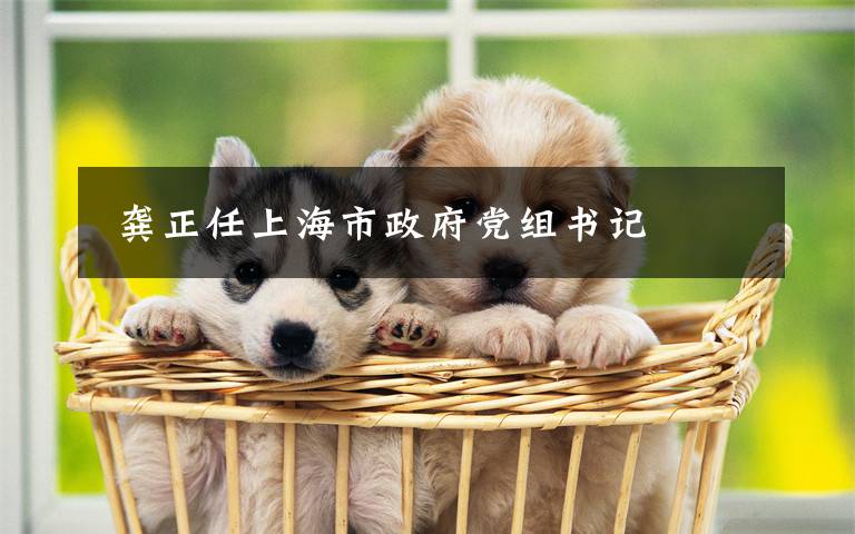  龚正任上海市政府党组书记