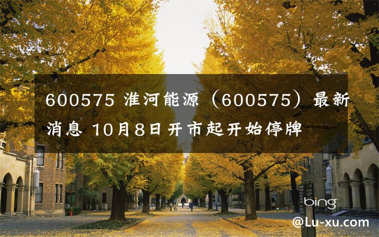 600575 淮河能源（600575）最新消息 10月8日开市起开始停牌