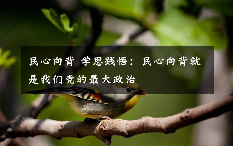 民心向背 学思践悟：民心向背就是我们党的最大政治