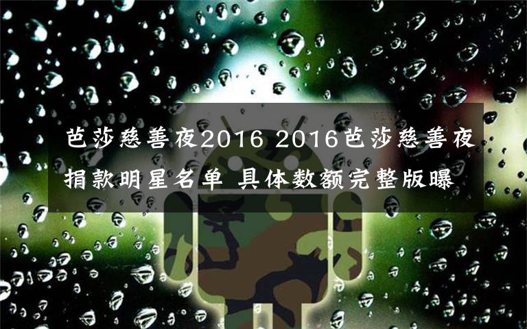 芭莎慈善夜2016 2016芭莎慈善夜捐款明星名单 具体数额完整版曝光