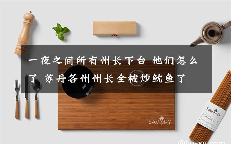 一夜之间所有州长下台 他们怎么了 苏丹各州州长全被炒鱿鱼了