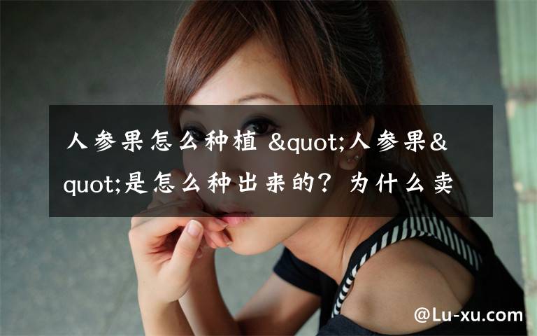 人参果怎么种植 "人参果"是怎么种出来的？为什么卖的这么贵？