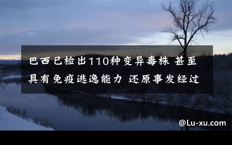 巴西已检出110种变异毒株 甚至具有免疫逃逸能力 还原事发经过及背后真相！
