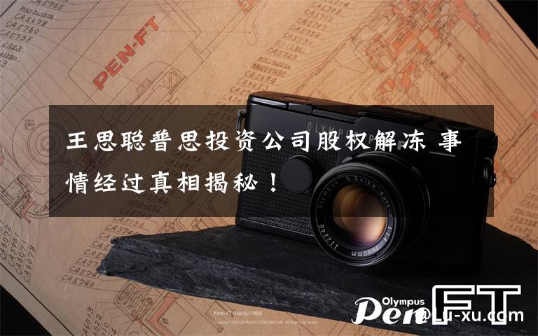 王思聪普思投资公司股权解冻 事情经过真相揭秘！